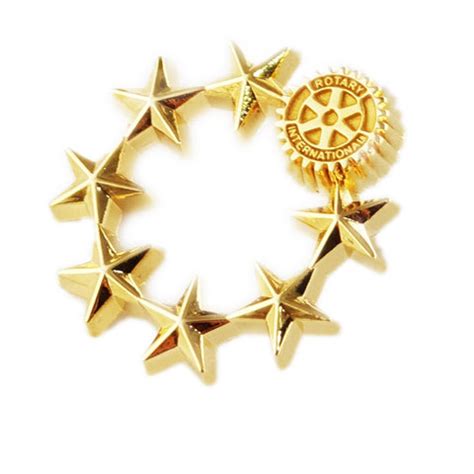 Super Star Rotarian Pin – Tej Brothers