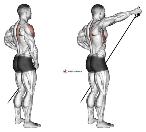 Band front lateral raise - Home Gym Review