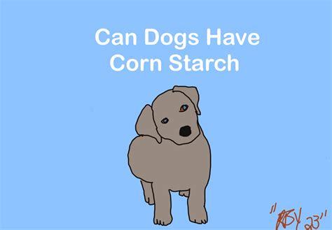 Can Dogs Have Corn Starch | Rootsyliving