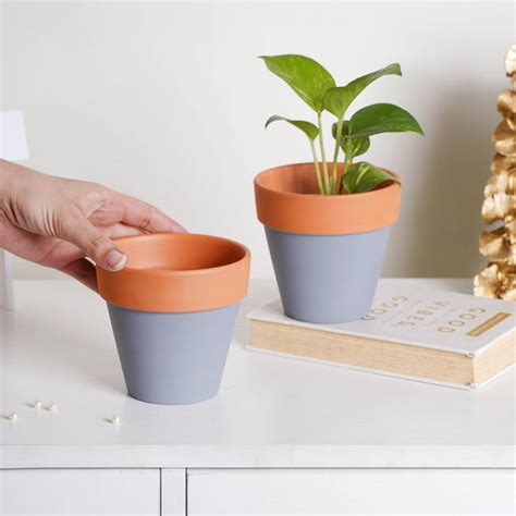Brown Rim Grey Clay Pot Set Of 2 Online - Premium Planter | Nestasia