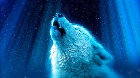 Wolf Hintergrundbilder Hd _ Top Free Anime Wolf Backgrounds - AHJNN