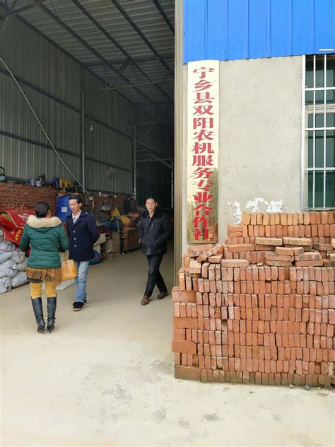 农企风采（30）宁乡县双阳农机服务专业合作社 - 农业联合会