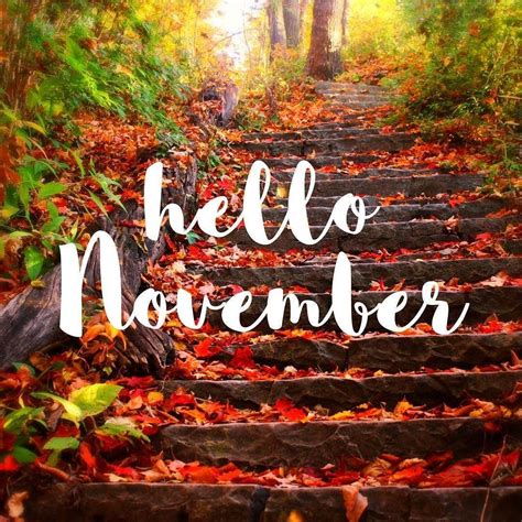Pinterest Hello November Wallpapers - Top Free Pinterest Hello November ...