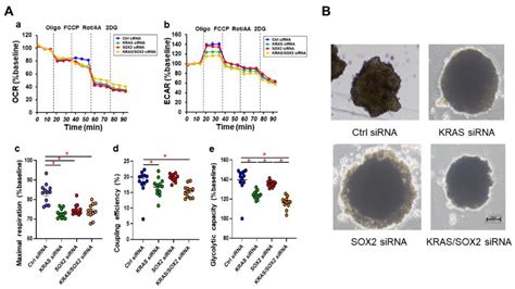 3D Spheroid Configurations Are Possible Indictors for Evaluating the ...
