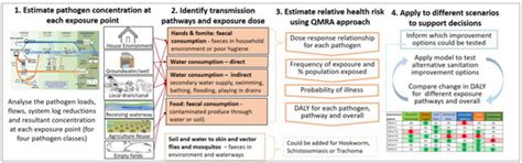 Faecal Pathogen Flows and Their Public Health Risks in Urban ...