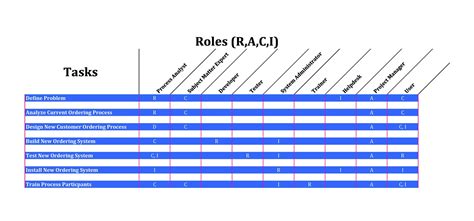 Image result for RACI Chart Examples