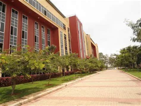 Iim Nagpur: IIM Nagpur Celebrates 9th Annual Convocation with 100% ...