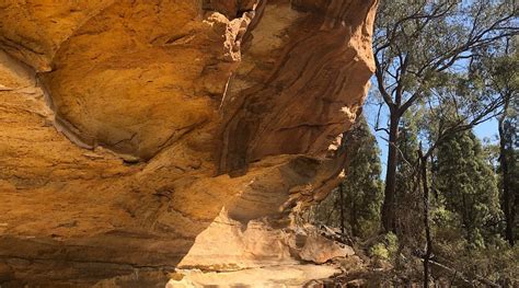 GULGONG SHOWGROUNDS - Campground Reviews & Photos - Tripadvisor