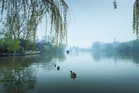 江苏最适合定居的3个城市, 连云港上榜, 第一是江苏的省会_扬州