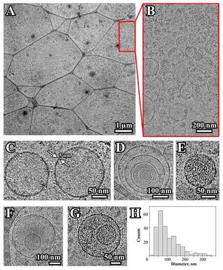 Proteome of Glioblastoma-Derived Exosomes as a Source of Biomarkers