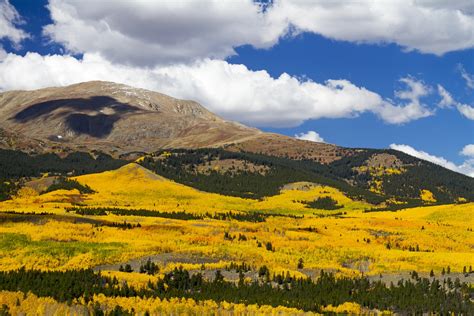 Fall Color Drives: Buffalo Pass Near Steamboat Springs