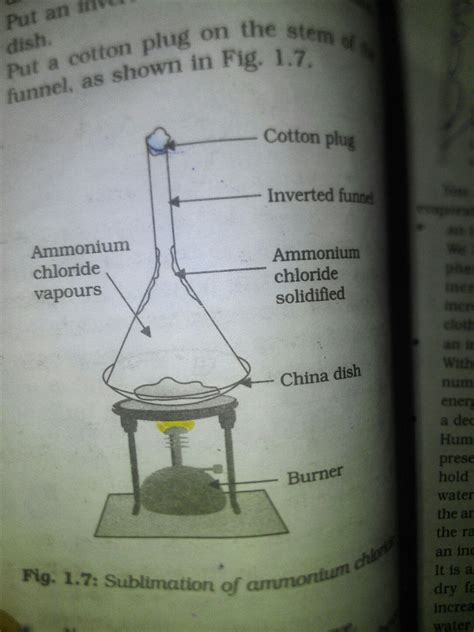 Understanding The Concept Of Sublimation In Psychology