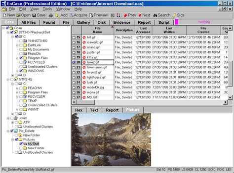 Encase Tutorial 的图像结果