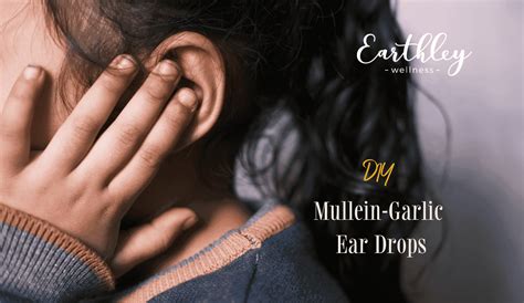 DIY: Mullein-Garlic Ear Drops | Earthley Wellness | Earthley Wellness