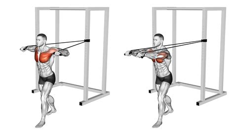 6 Best Cable Fly Alternatives (with Pictures!) - Inspire US