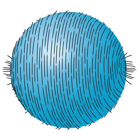Math's 'Hairy Ball Theorem' Has Surprising Implications - Scientific ...