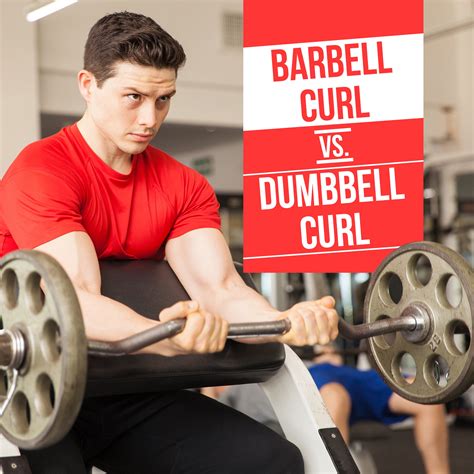 Straight Bar Curls