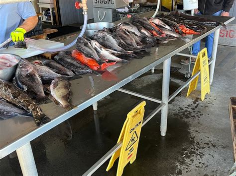 SIGGI-G OCEAN CHARTERS (2026) All You Need to Know BEFORE You Go (with ...