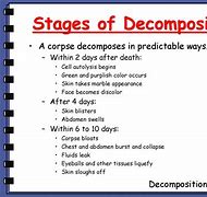 Image result for Early Human Decomposition
