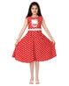 Buy Red Dresses & Frocks for Girls by AARIKA GIRLS ETHNIC Online | Ajio.com