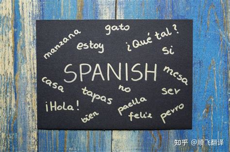 专业西班牙语翻译需要具备哪些能力？ - 知乎