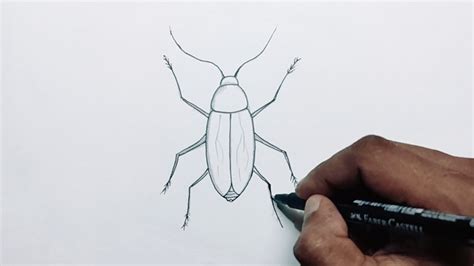 Image result for How to Draw a Cockroach Step by Step