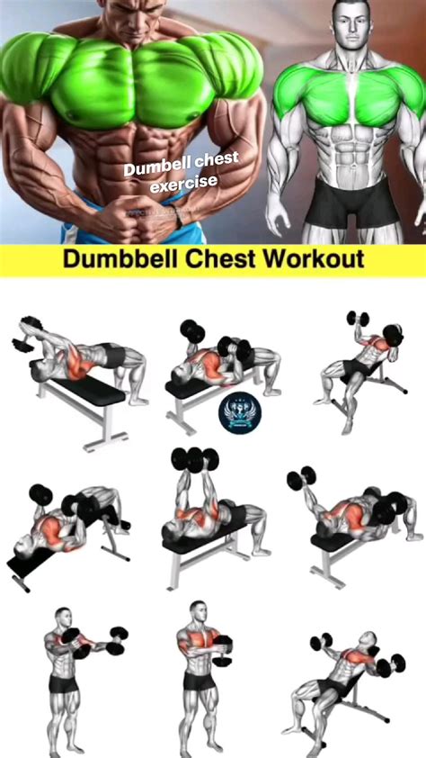 Best 13 9 Best Inner Chest Workouts For A More Defined Chest 2025 – Artofit
