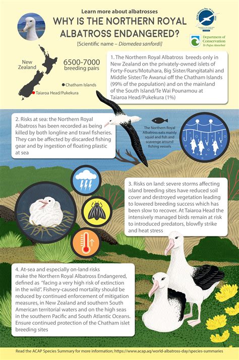 Agreement on the Conservation of Albatrosses and Petrels - ACAP Species ...