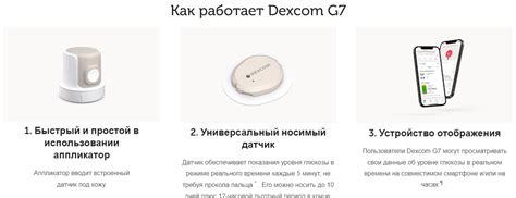 Dexcom G7 10 сенсоров (срок 07/2025+) - med24.am