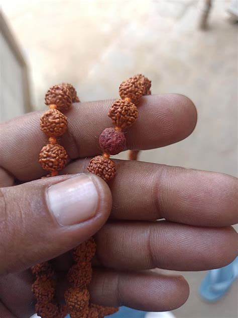 VR Creatives Rudraksha Rudraksh Japa Mala 108 Beads for Daily Mantra ...