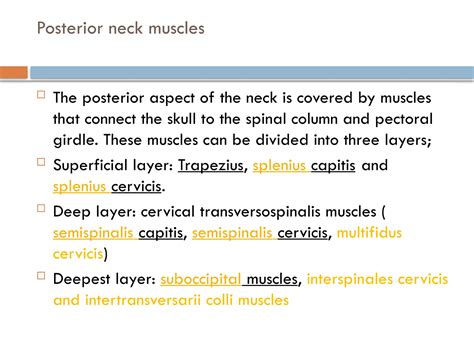 Muscles of posterior Neck region (1) (1).pptx