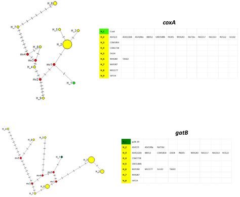 Investigating the Diversity of Wolbachia across the Spiny Ants ...