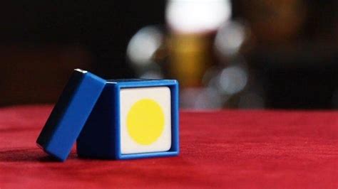 Image result for Color Vision Box