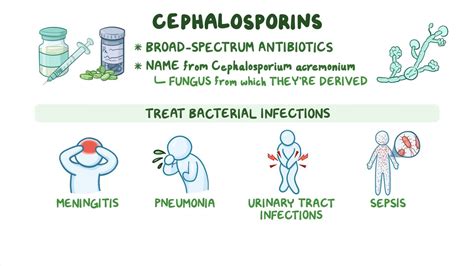 Cephalosporin Antibiotic Brand Names – QNANCK