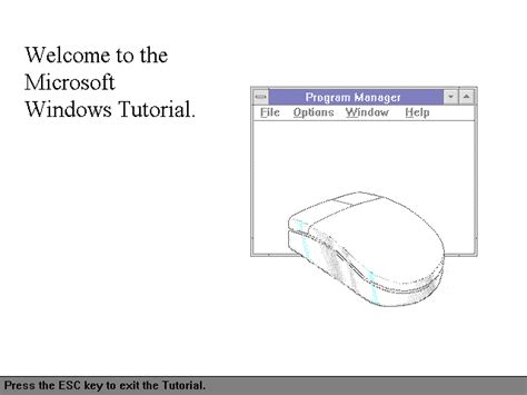 Using Windows Tutorial 的图像结果