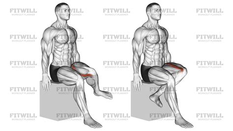 Hip - Lateral Rotation (External Rotation) - Articulations: Exercise ...