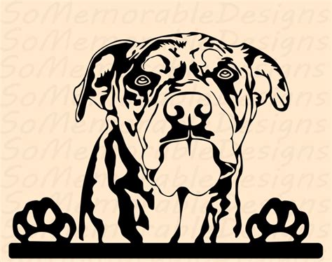 Buy Bullmastiff Svg, Bullmastiff Svg File for Cricut, Bullmastiff ...