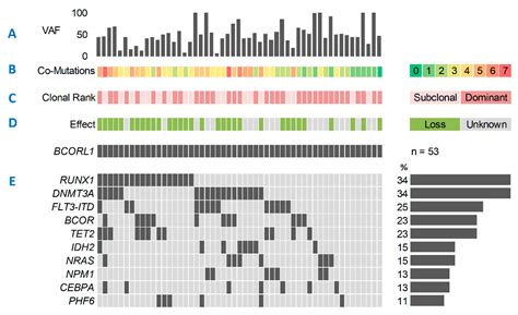 Loss-of-Function Mutations of BCOR Are an Independent Marker of Adverse ...