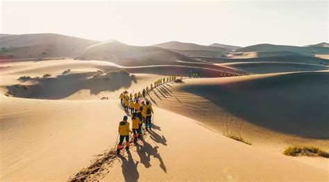 世界上首例被消灭的中国沙漠，游客感叹中国人的坚持，感动了上帝_治理