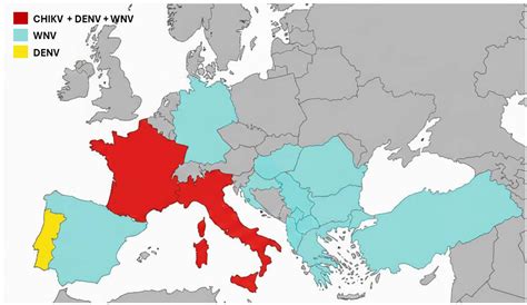 Europe Faces Multiple Arboviral Threats in 2025