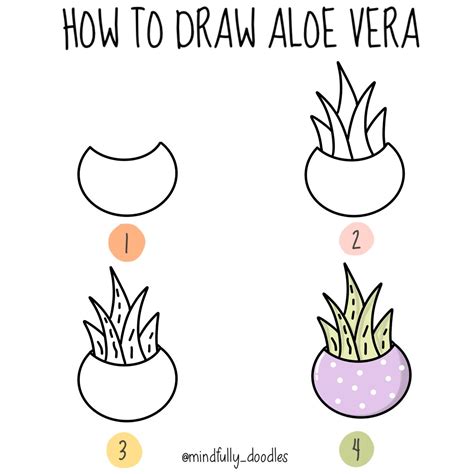 Aloe Vera Drawing Simple