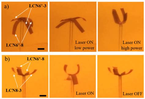 Opposite Self-Folding Behavior of Polymeric Photoresponsive Actuators ...