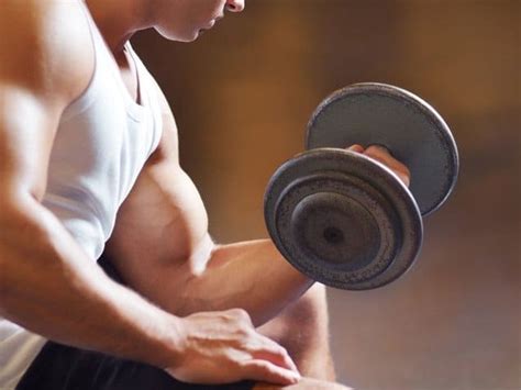 Muscle Excecise 的图像结果