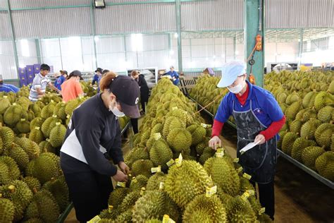 Brand building for Vietnamese agricultural products needed to boost exports