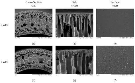 Enhancing Hydrophobic/Hydrophilic Dual-Layer Membranes for Membrane ...