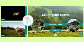 Countryside Photo Word Mat - Twinkl Word Mat