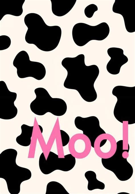 Moo Cow Wallpaper