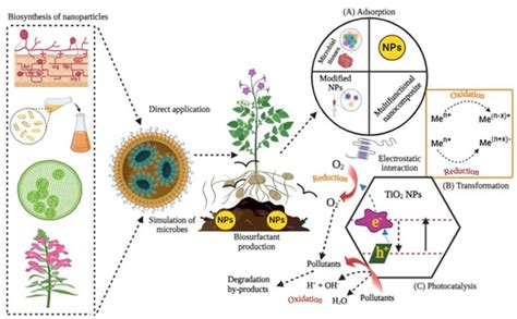 Sustainable Wastewater Treatment Strategies in Effective Abatement of ...