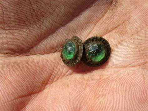 Archaeological dig at Colonial Michilimackinac turns up cuff links from ...