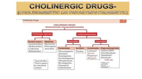 Adrenergic and cholinergic agents pptx.pptx